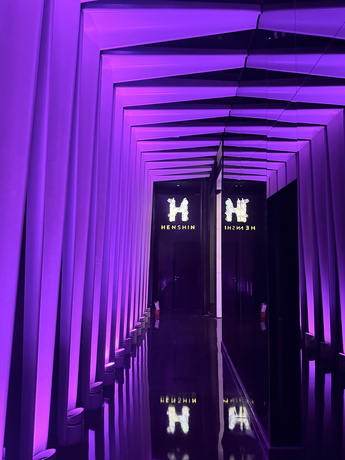 Henshin — photo 3