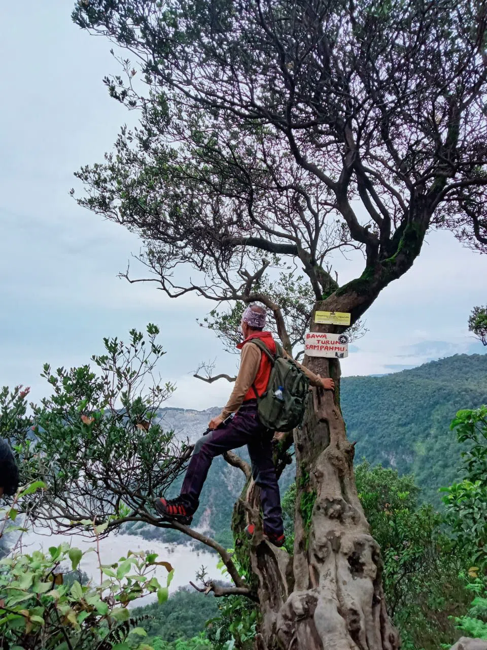 Kawah Upas, Jakarta