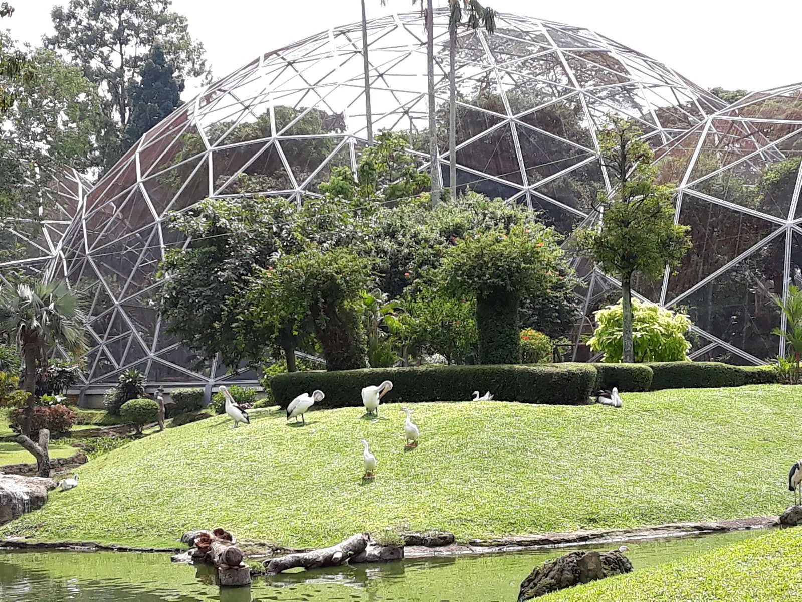 Taman Burung TMII (Jagat Satwa Nusantara), Jakarta
